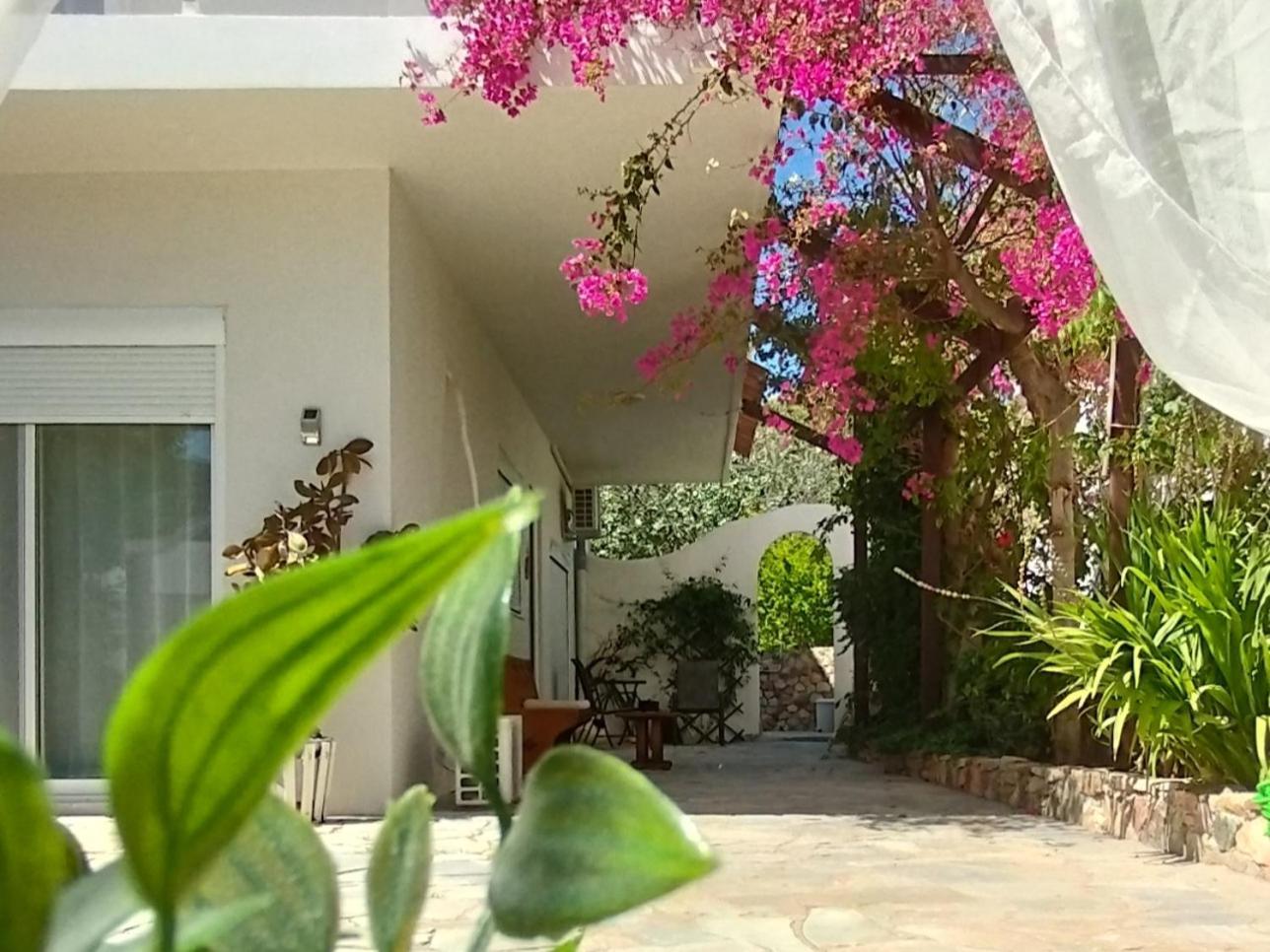 Marilen Apartment Livadia  Exterior photo